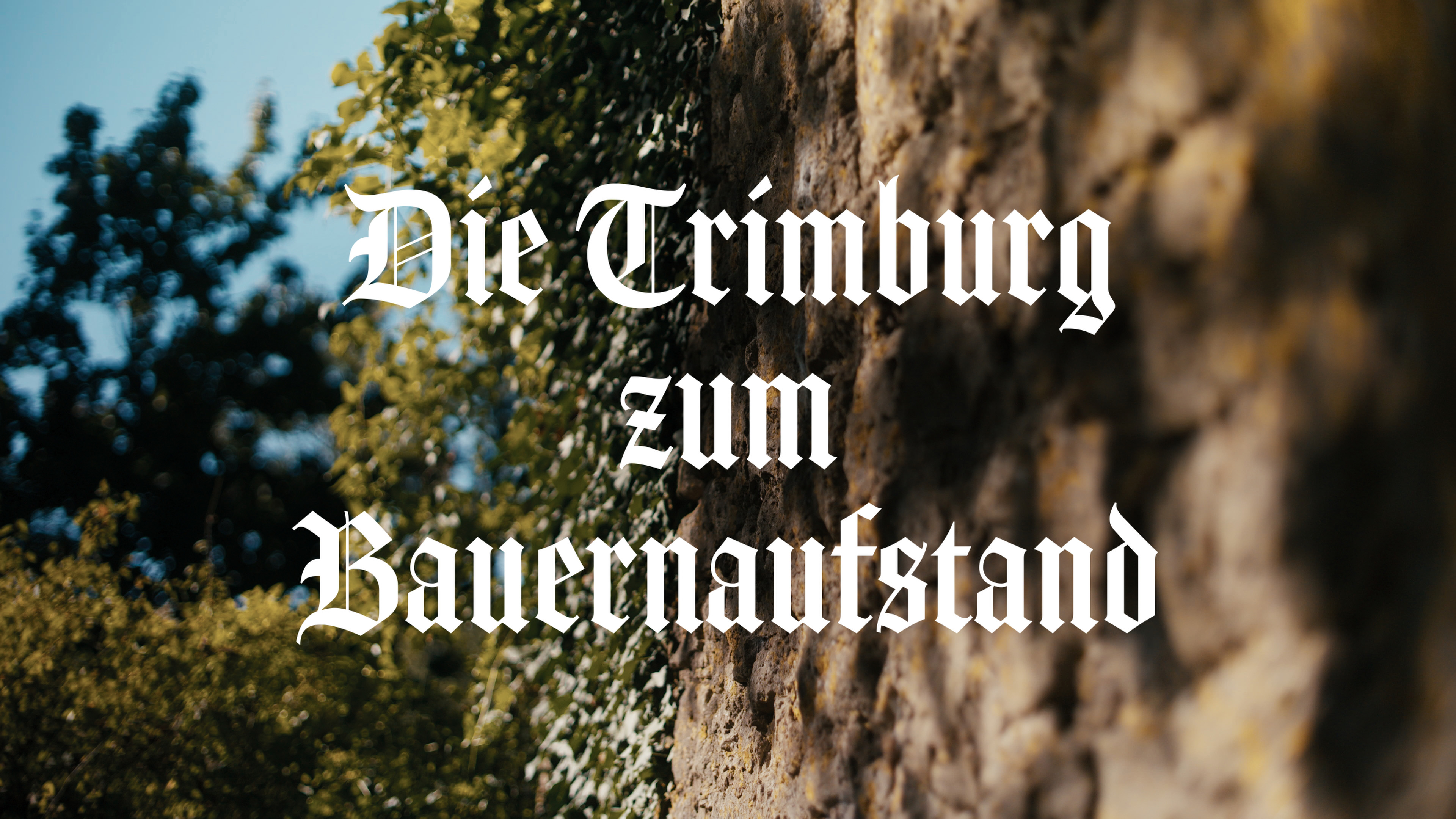 bauernaufstand_trimburg